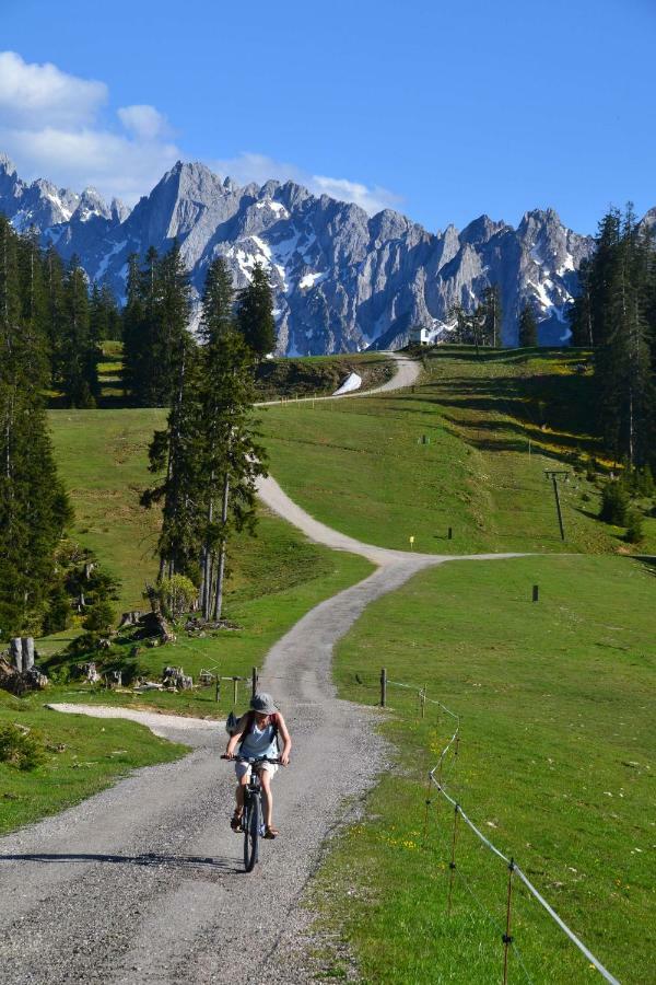 Pension Edelweiss Top21 Gosau Exterior foto