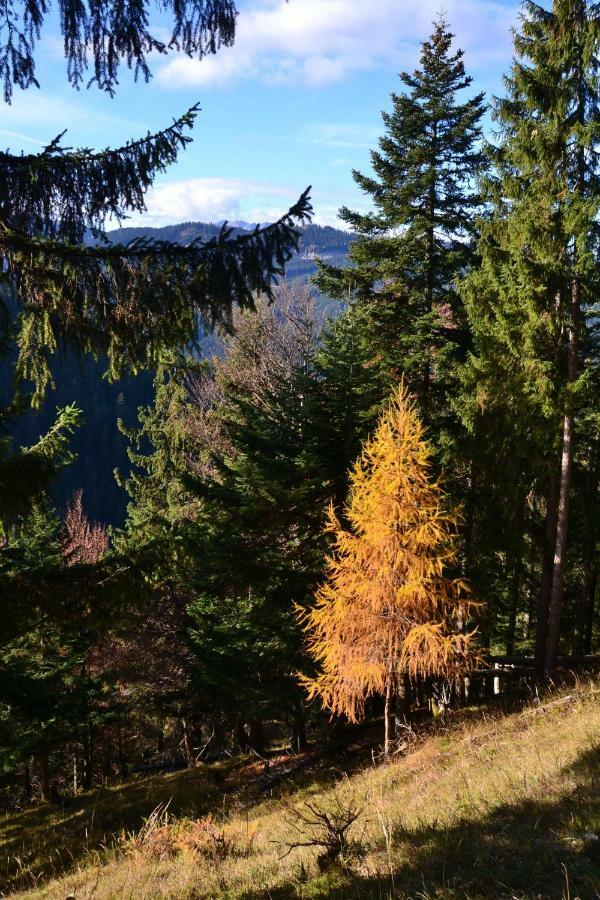 Pension Edelweiss Top21 Gosau Exterior foto